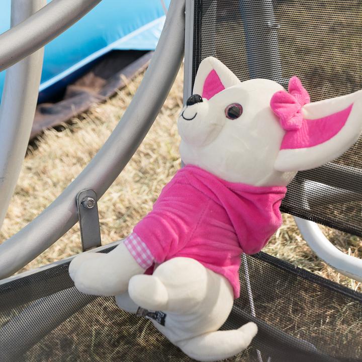 Bild: 20240824-172651.jpg